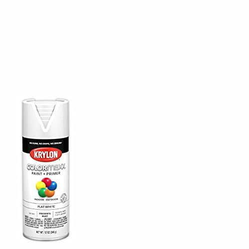 Krylon K05548007 COLORmaxx Spray Paint and Primer for Indoor/Outdoor Use, Flat White, 12 Ounce (Pack of 1)