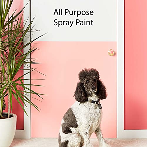 12 oz Krylon K05547007 Crystal Clear COLORmaxx Paint & Primer Spray Paint, Flat