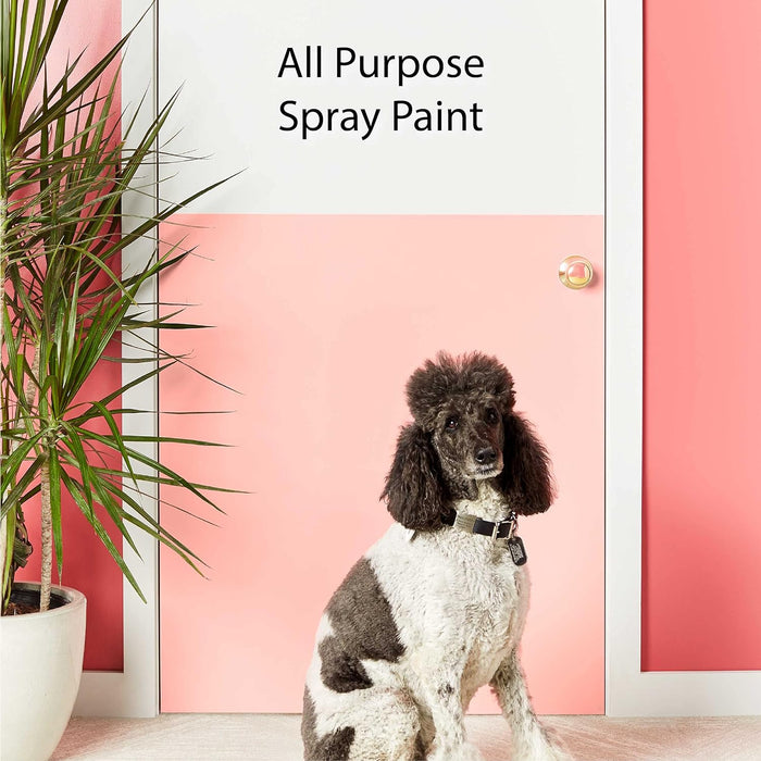 Krylon K05504007 COLORmaxx Spray Paint and Primer for Indoor/Outdoor Use, Gloss Bauhaus Gold, 12 Ounce (Pack of 1) Bauhaus Gold 12 Ounce (Pack of 1) Gloss